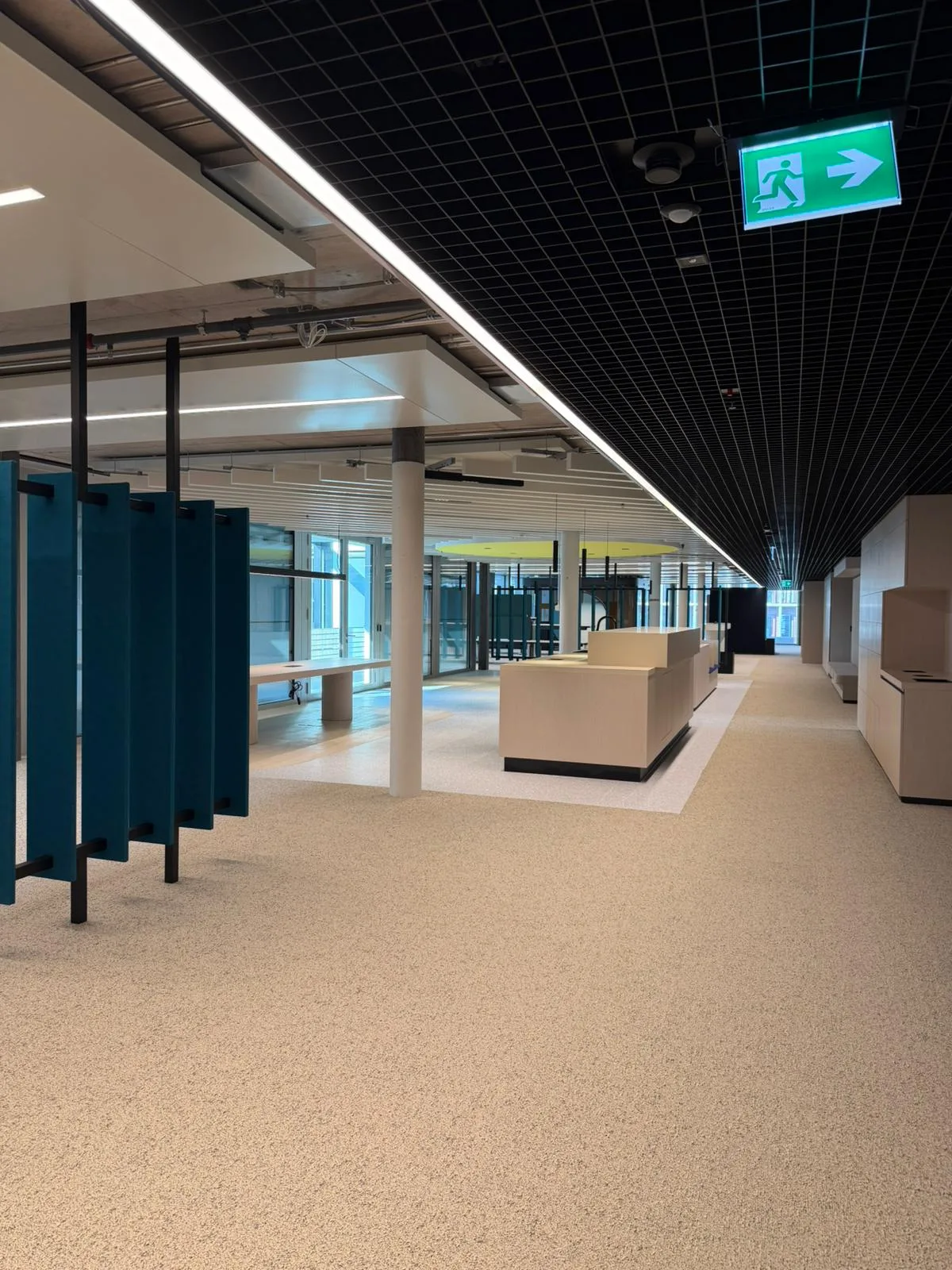 MSD Büro